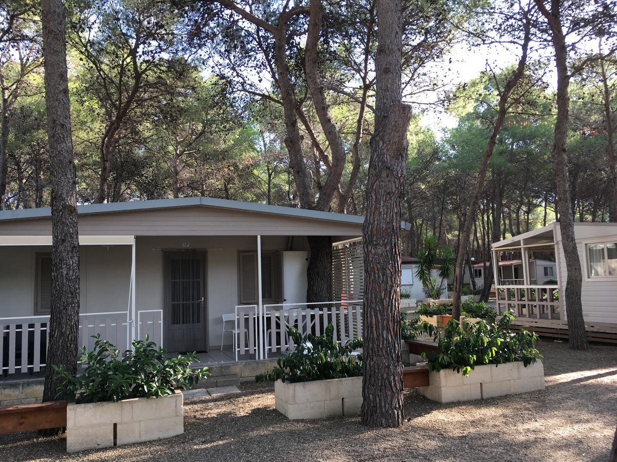 Riva Dei Greci Camping Village Metaponto Exteriér fotografie
