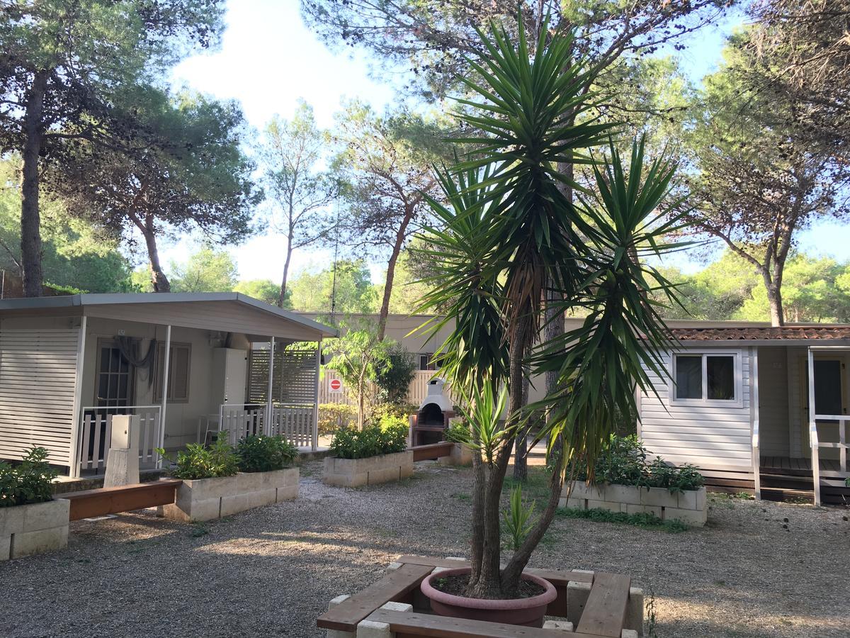 Riva Dei Greci Camping Village Metaponto Exteriér fotografie